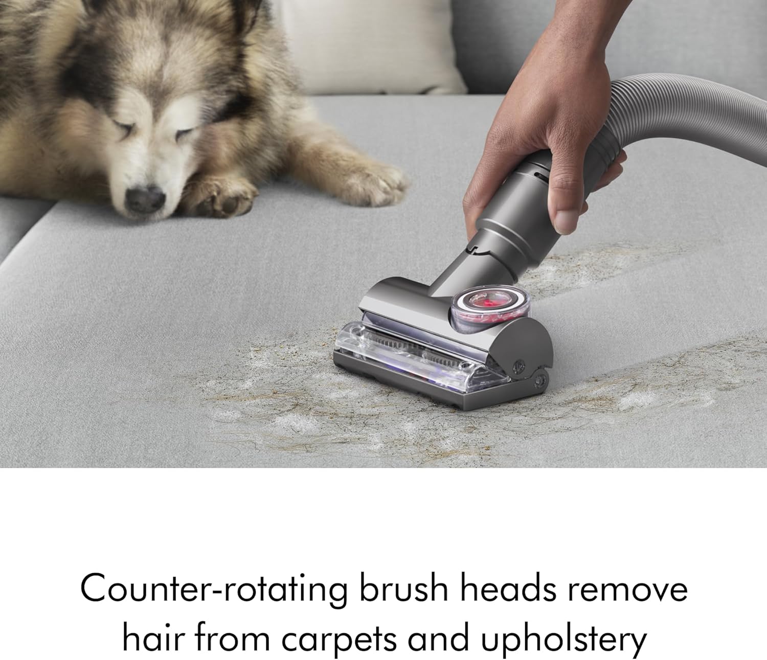 Dyson Ball Animal Total Clean Upright Vacuum - Corded, 290AW - Image 7