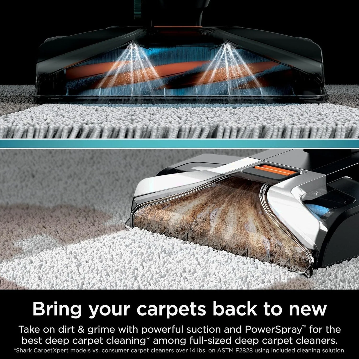 Shark CarpetXpert Carpet Cleaner, Cyan - EX201 - Image 3