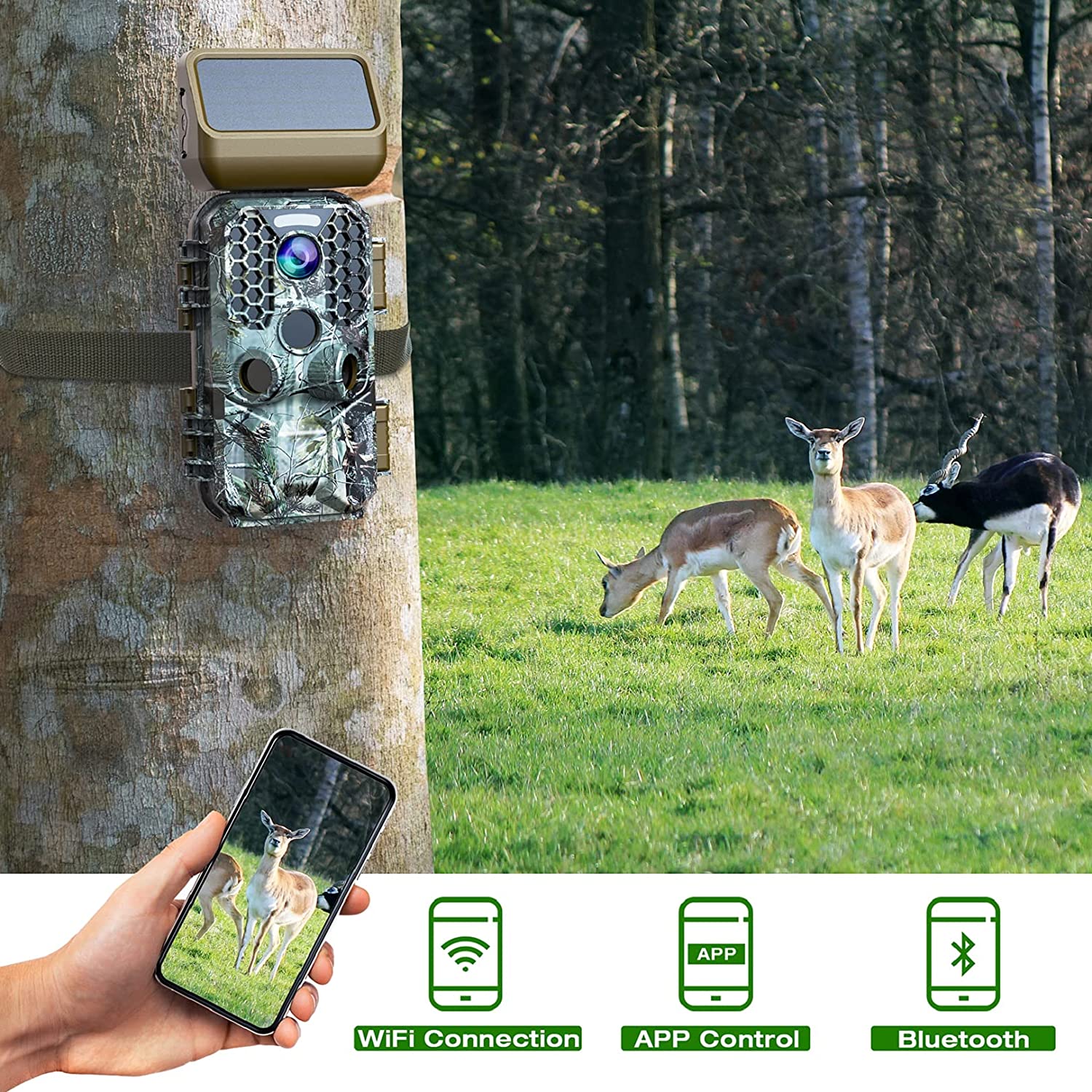 T200 4K 30MP Solar panel Trail Camera with WiFi Bluetooth - Image 6