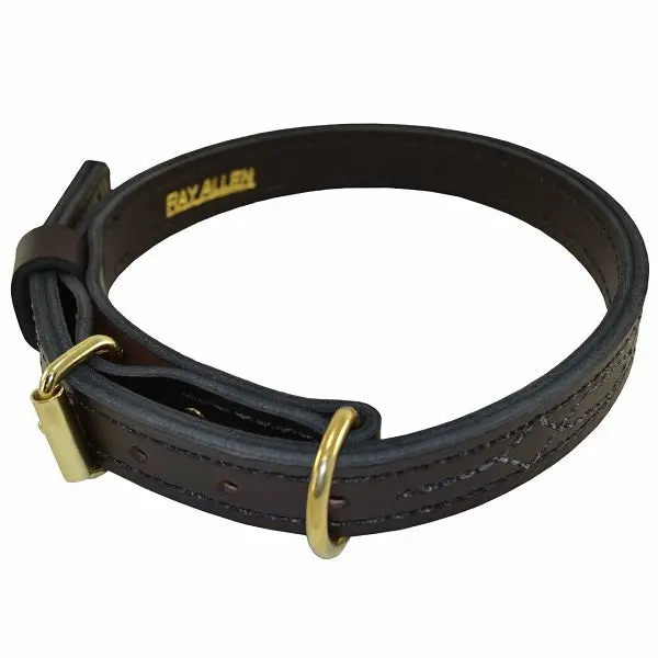 Ray Allen Premier Leather K9 Collar, Brown, English Rein Leather, Brass Hardware, 1 Inch Wide