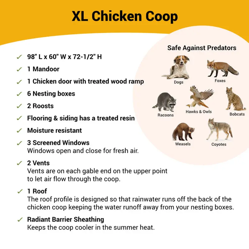 OverEZ XL Chicken Coop - Accommodates Up To 20 Birds - Image 4