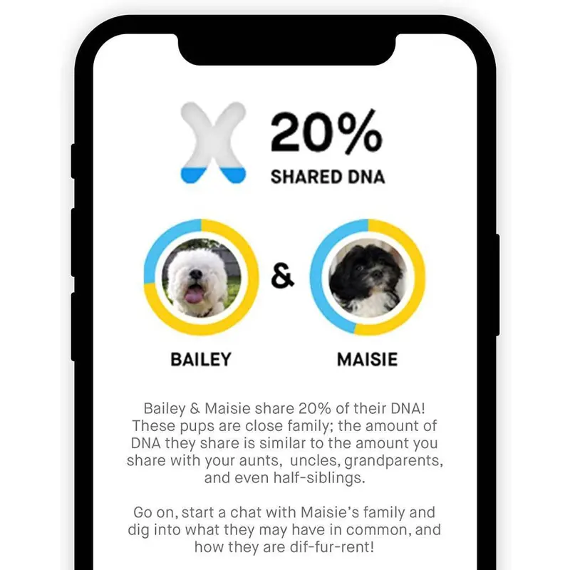 Embark Dog DNA Breed Identification Test Kit With Doggy Relative Finder - Image 6