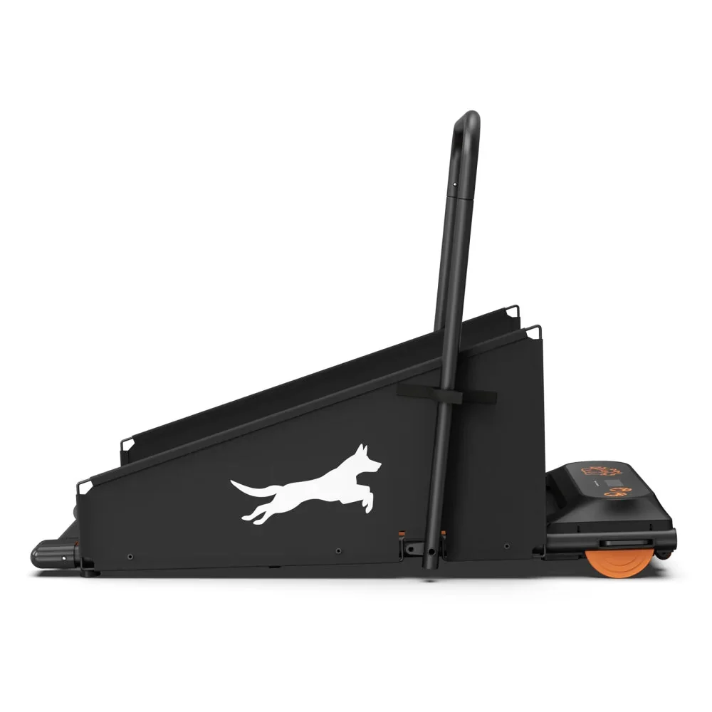 Dog Treadmill For Small And Medium Dogs - W215P235106 - Image 9