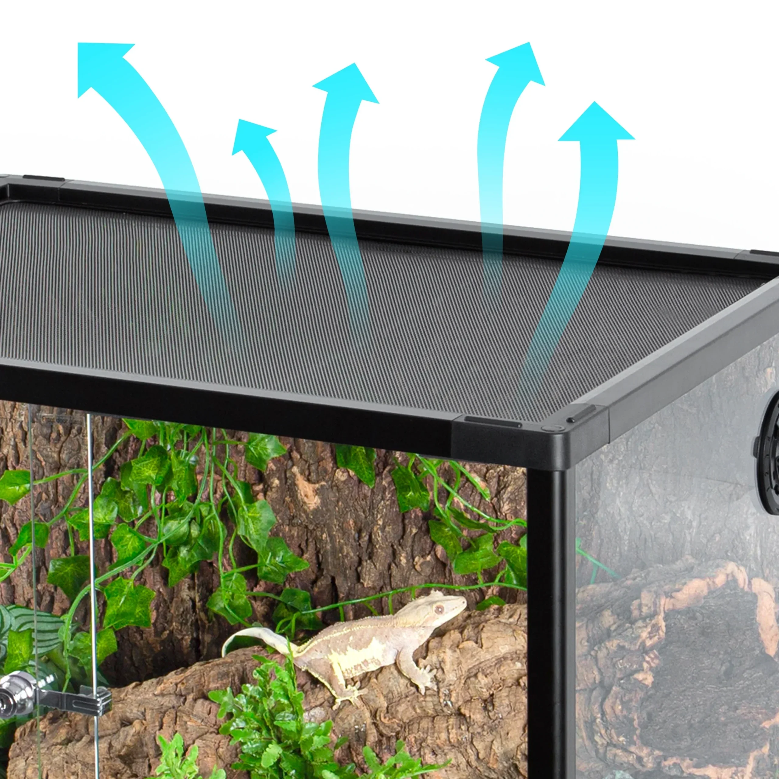 REPTIZOO Reptile Knock-Down Full View Natural Terrarium, Black, 24 x 18 x 18 inches - Image 6