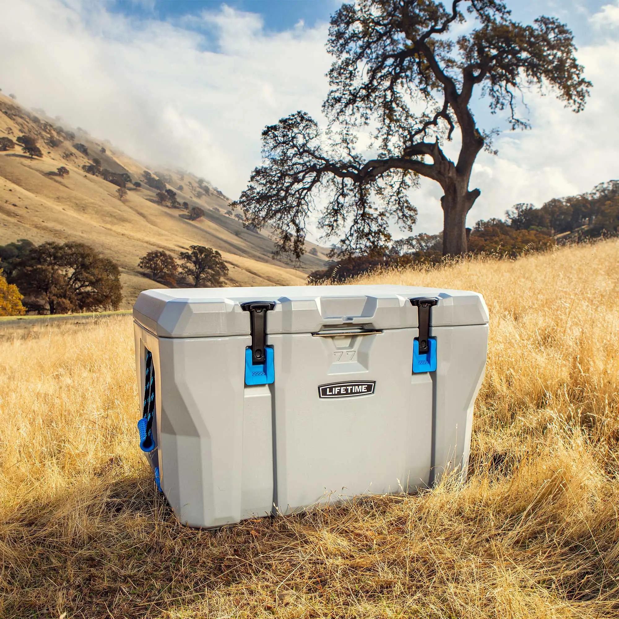 77-Quart High-Performance Cooler - Model 90903 - Image 10