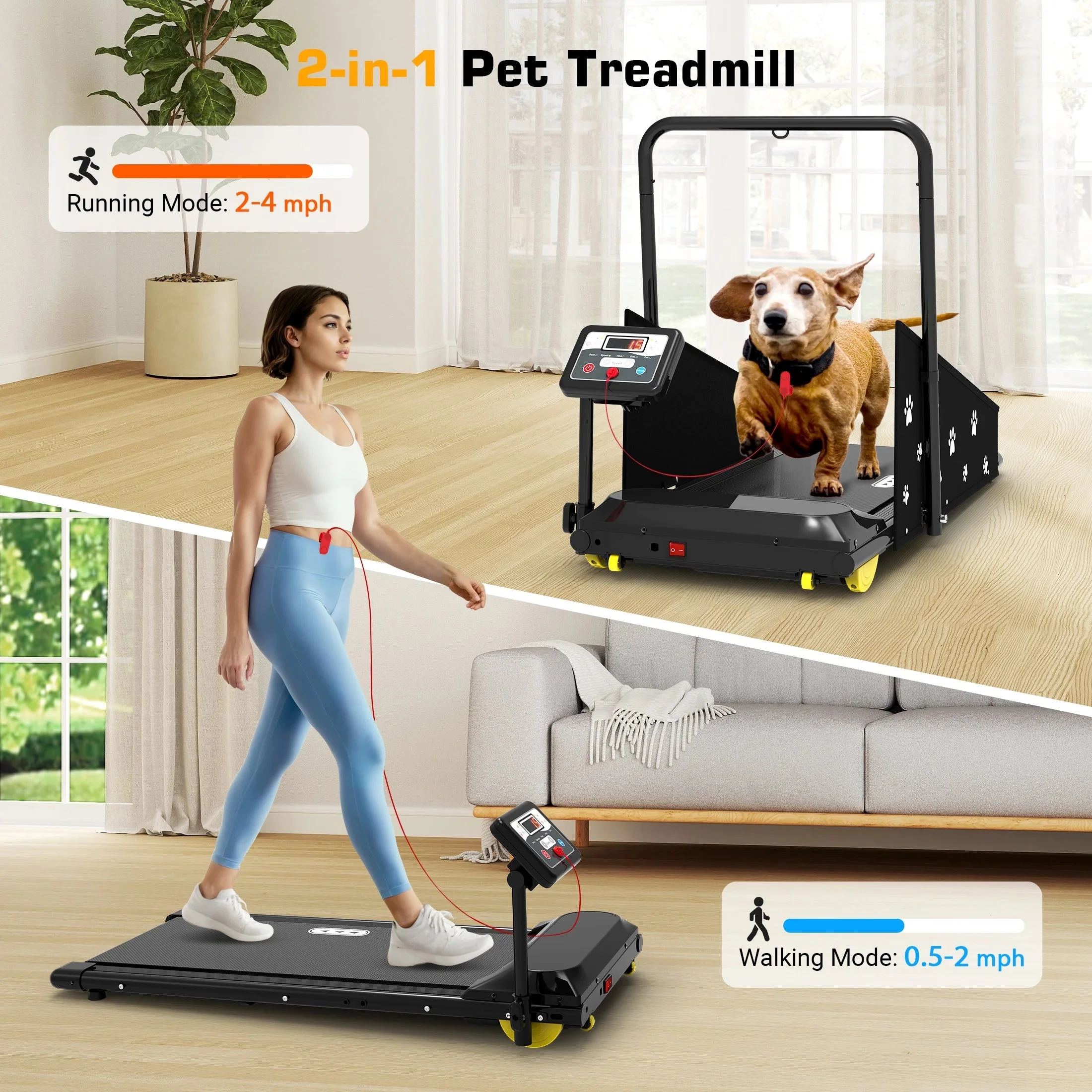 Hapycity Dog Treadmill 265LB Capacity With LCD Display And Remote - Image 2