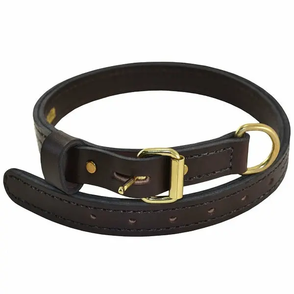 Ray Allen Premier Leather K9 Collar, Brown, English Rein Leather, Brass Hardware, 1 Inch Wide - Image 5