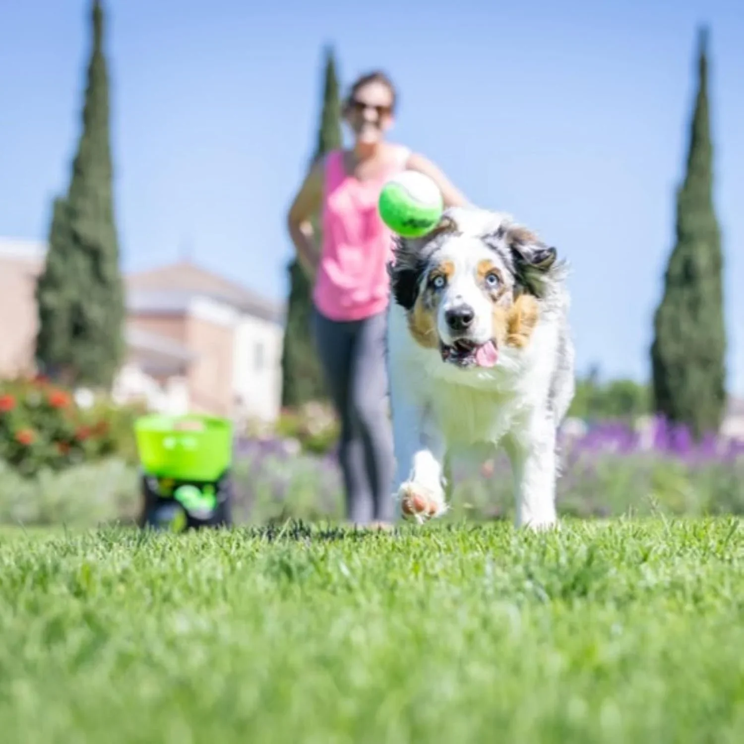 Hyper Pet Automatic Dog Ball Launcher With 5 Balls, Green/Black - GoDogGo - Image 8