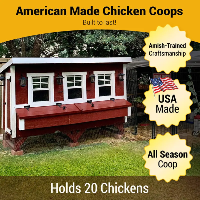 OverEZ XL Chicken Coop - Accommodates Up To 20 Birds - Image 2