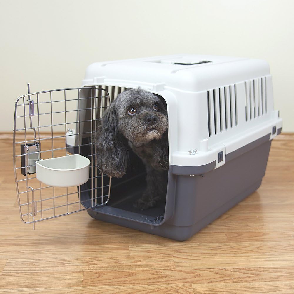 SportPet Designs Plastic Airline Approved Rolling Dog Kennel With Wire Door, XXX-Large, Gray, 48in L x 32in W x 36in H - Image 43