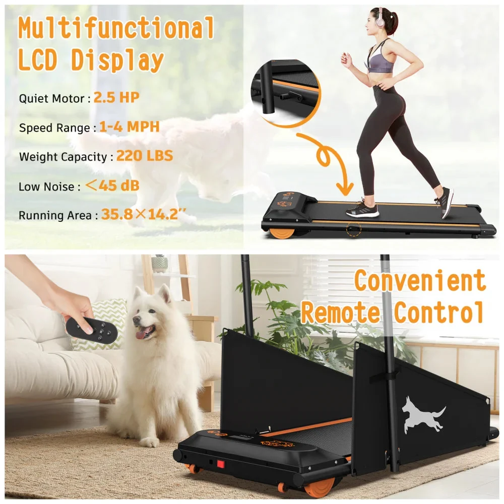 Dog Treadmill For Small And Medium Dogs - W215P235106 - Image 5