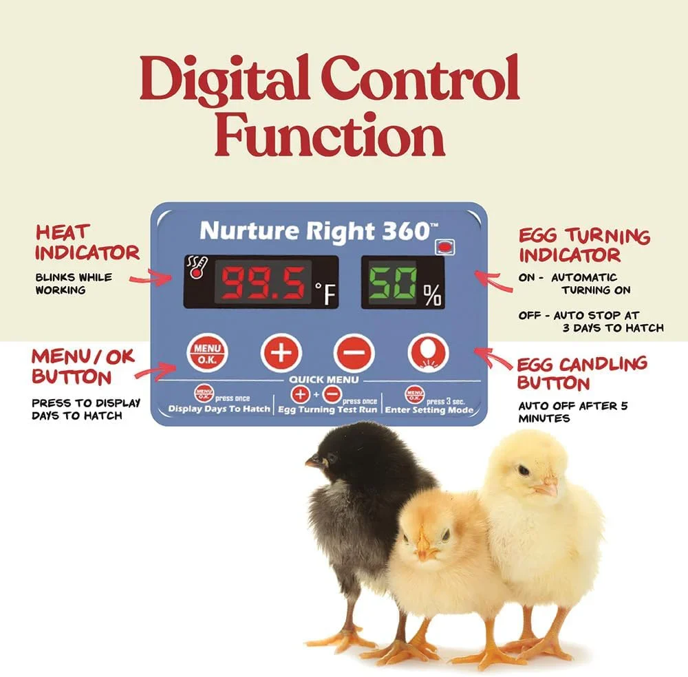 Nurture Right Egg Incubator For Hatching Chicks, Holds 12-22 Eggs - Automatic Turner - Image 5