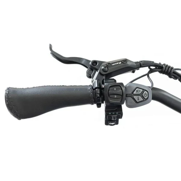 20 48V/14AH 750W Foldable Fat Tire Electric Trike, 330LBS - Image 4