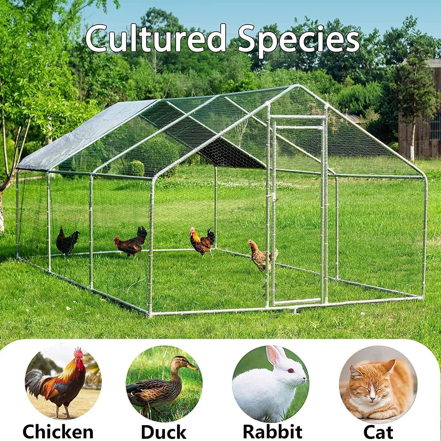HITTITE Large Metal Chicken Coop With Run 19.19 x 9.84 x 6.56 ft - Walk-In Poultry Cage - Image 6