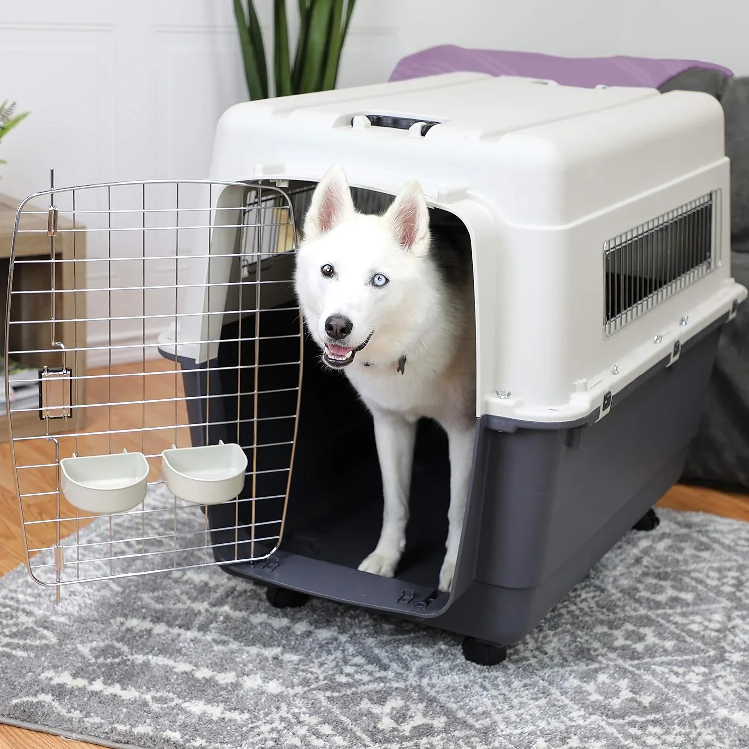 SportPet Designs Plastic Airline Approved Rolling Dog Kennel With Wire Door, XXX-Large, Gray, 48in L x 32in W x 36in H - Image 46