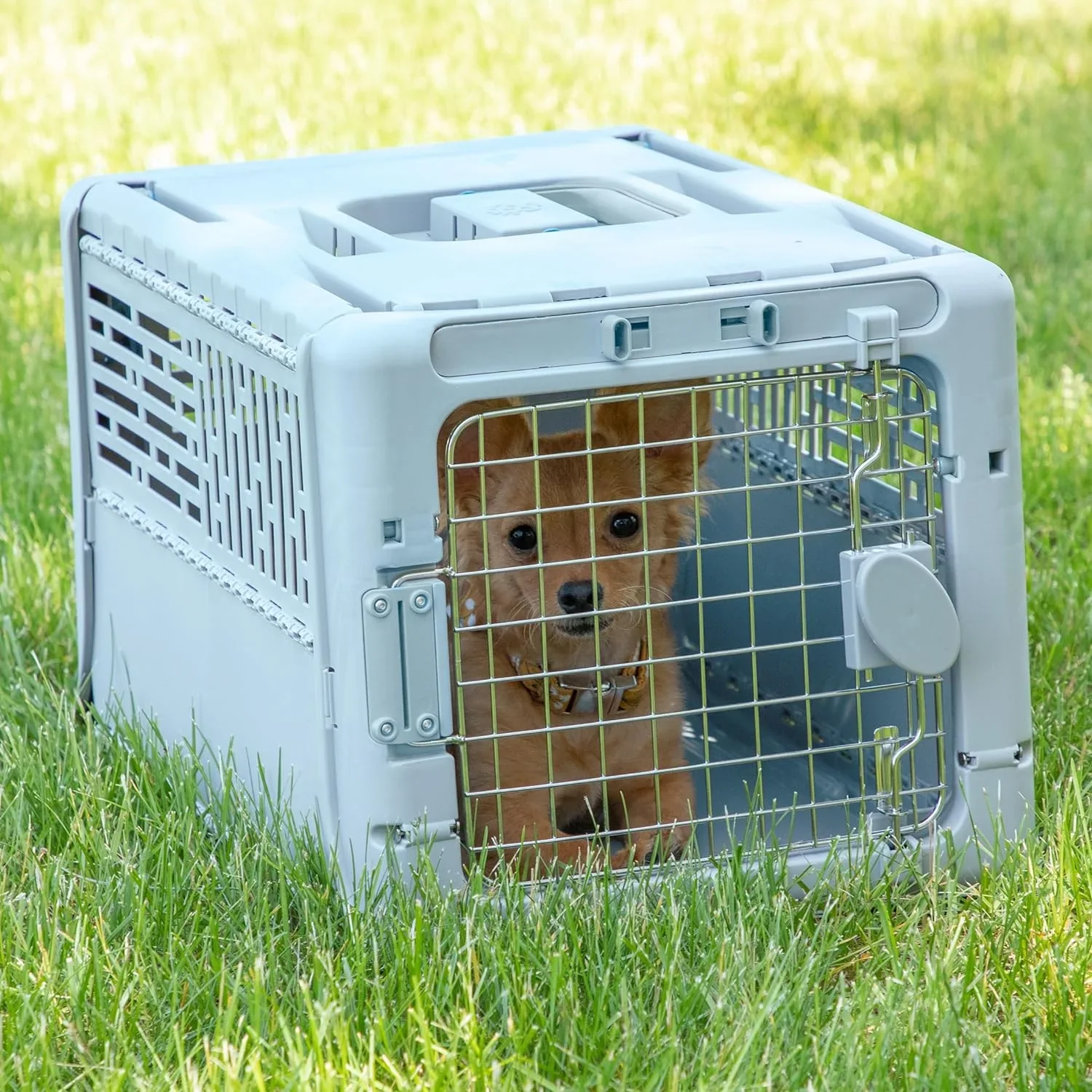 SportPet Designs Plastic Airline Approved Rolling Dog Kennel With Wire Door, XXX-Large, Gray, 48in L x 32in W x 36in H - Image 35