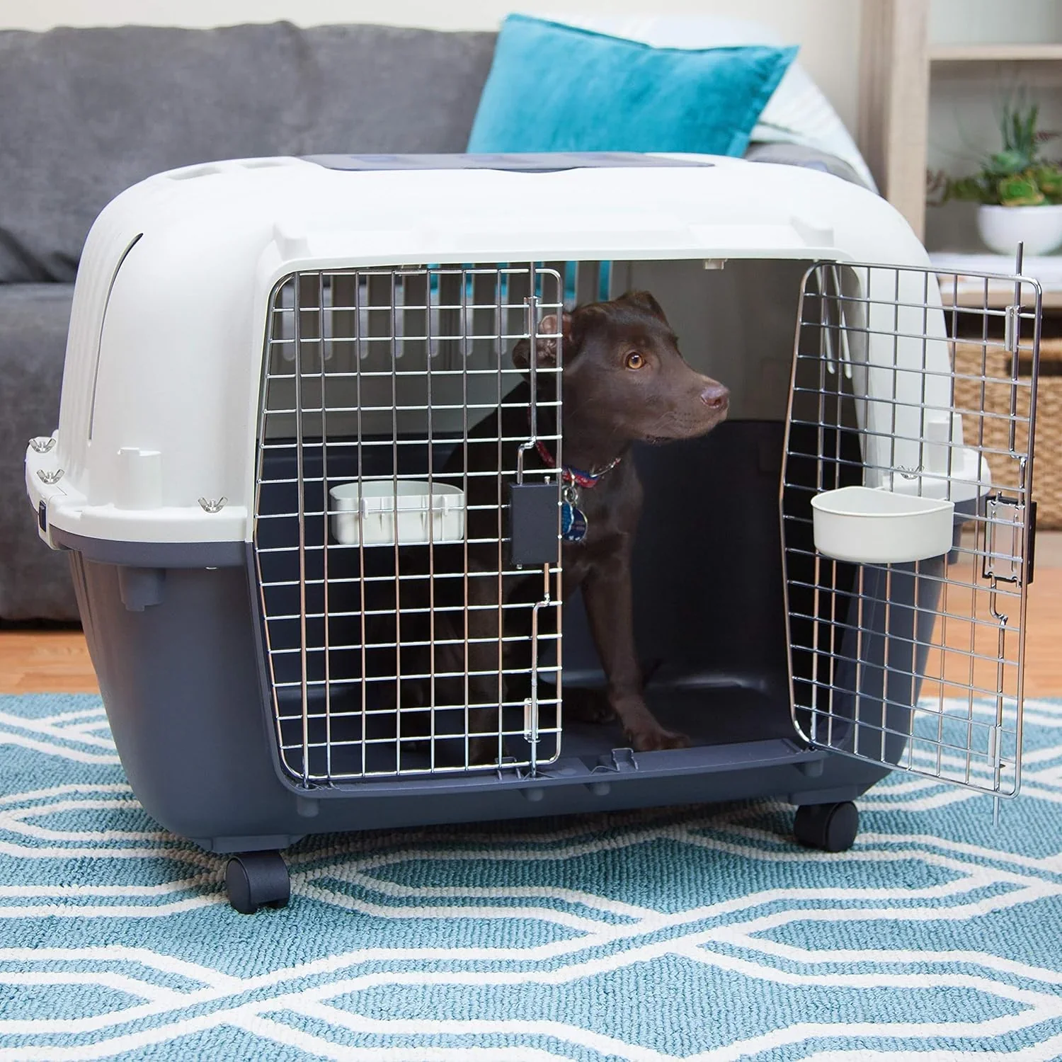 SportPet Designs Plastic Airline Approved Rolling Dog Kennel With Wire Door, XXX-Large, Gray, 48in L x 32in W x 36in H - Image 9