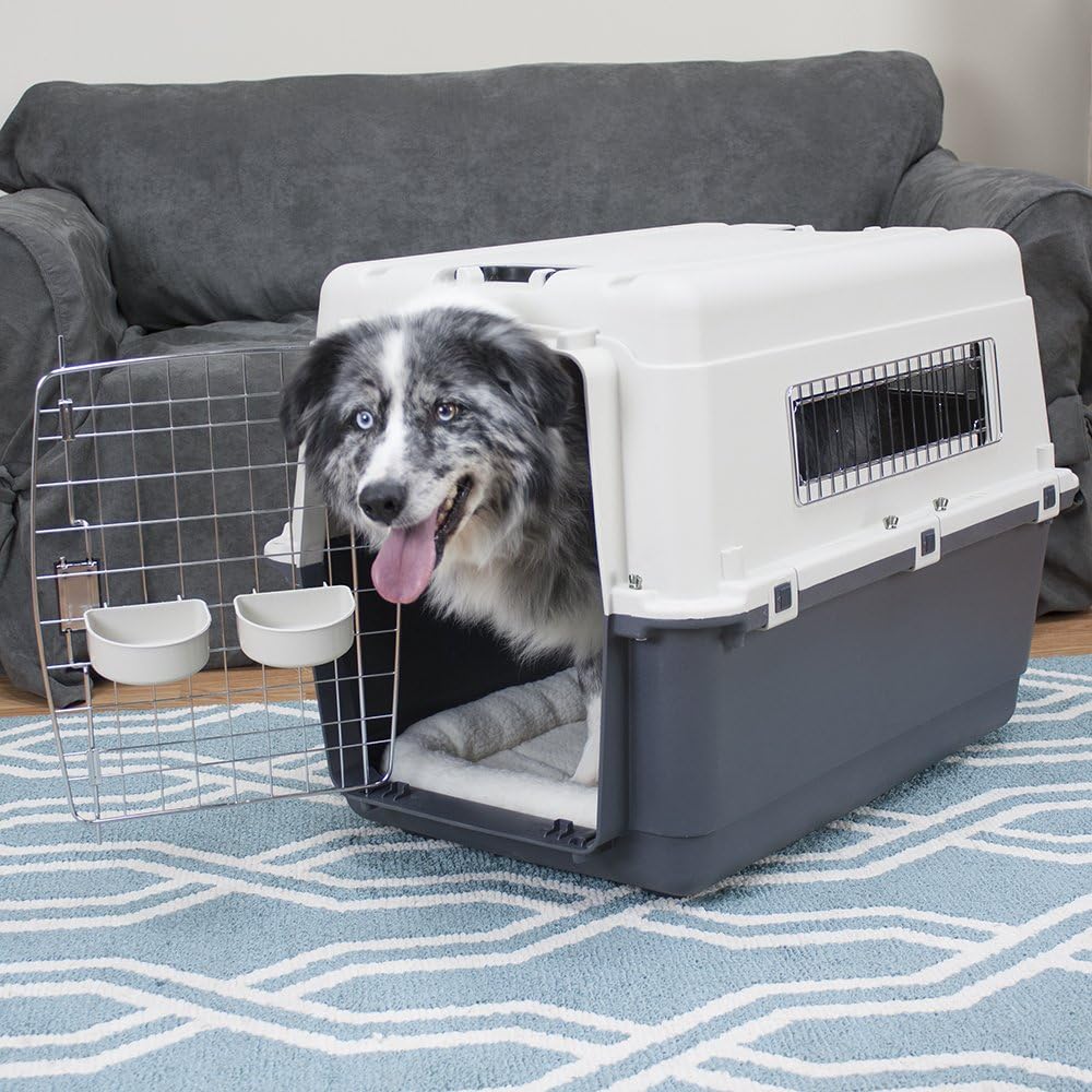 SportPet Designs Plastic Airline Approved Rolling Dog Kennel With Wire Door, XXX-Large, Gray, 48in L x 32in W x 36in H - Image 34