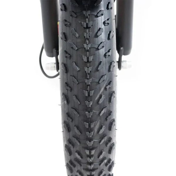 20 48V/14AH 750W Foldable Fat Tire Electric Trike, 330LBS - Image 9
