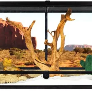 REPTI ZOO 50-Gallon Double-Door Glass Reptile Terrarium, 36 x 18 x 18 in - RK0119