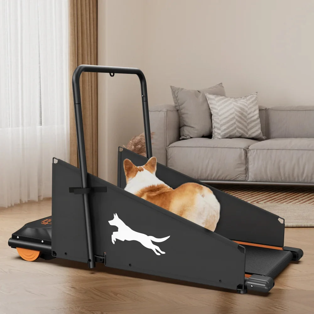 Dog Treadmill For Small And Medium Dogs - W215P235106 - Image 3