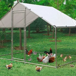 Metal Walk-In Chicken Run Cage With Cover, 10'L X 6.6'W X 6.56'H