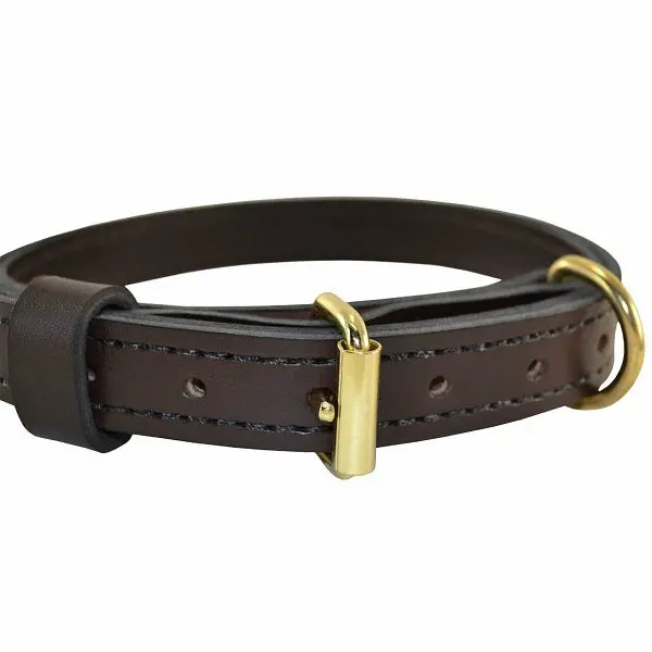 Ray Allen Premier Leather K9 Collar, Brown, English Rein Leather, Brass Hardware, 1 Inch Wide - Image 3