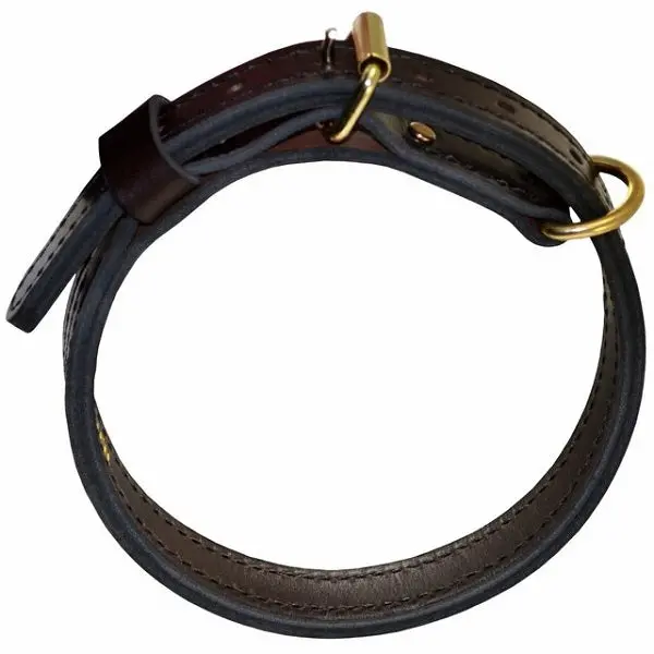 Ray Allen Premier Leather K9 Collar, Brown, English Rein Leather, Brass Hardware, 1 Inch Wide - Image 2
