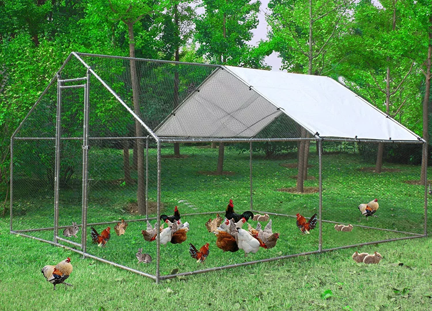Metal Walk-In Chicken Run Cage With Cover, 10'L X 6.6'W X 6.56'H - Image 9