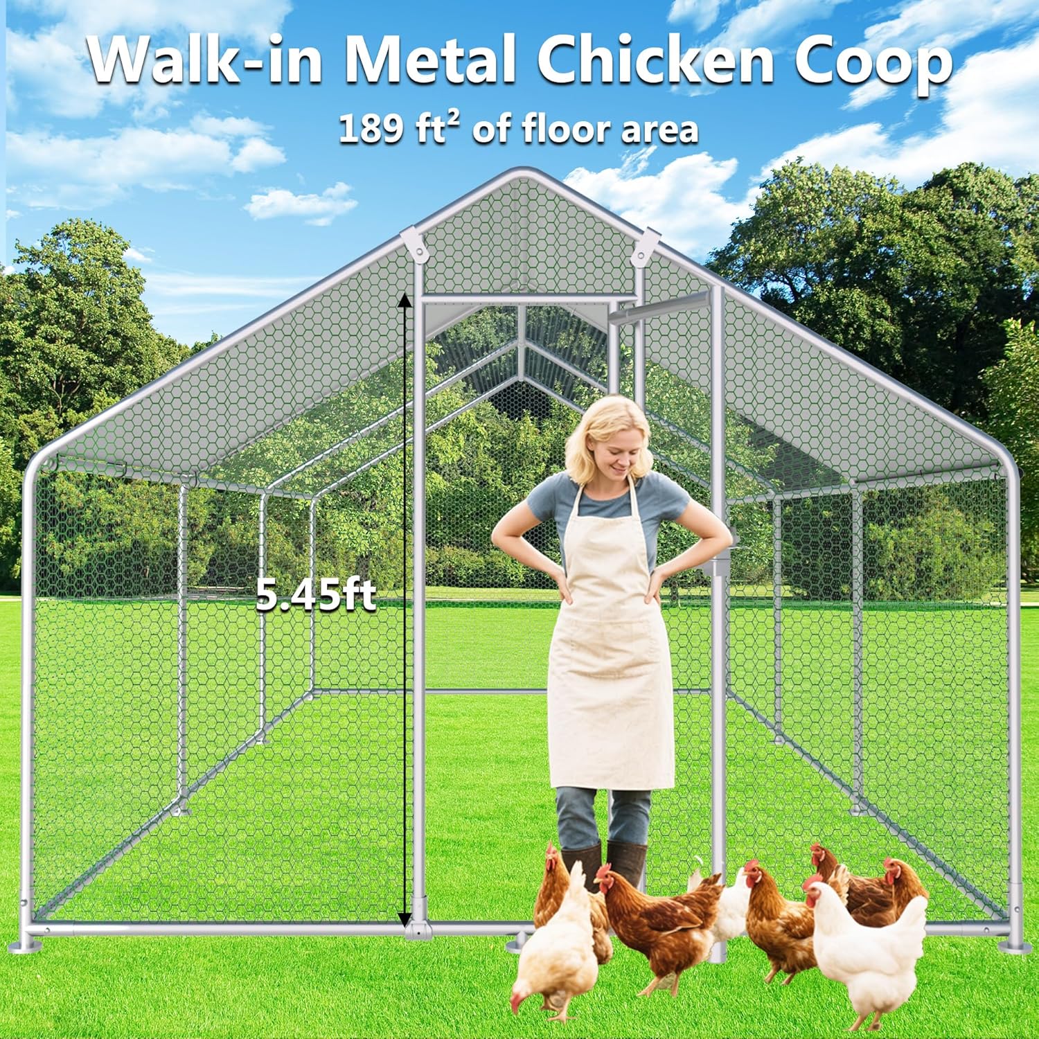 HITTITE Large Metal Chicken Coop With Run 19.19 x 9.84 x 6.56 ft - Walk-In Poultry Cage - Image 5