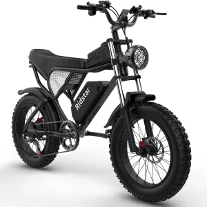 Electric Bike for Adults Ridstar, 20" Fat Tire Electric Motorcycle, 1000W Electric Bike with Removable 48V/20ah Battery E - Bike Shimano 7 Full Suspension Electric Bicycle