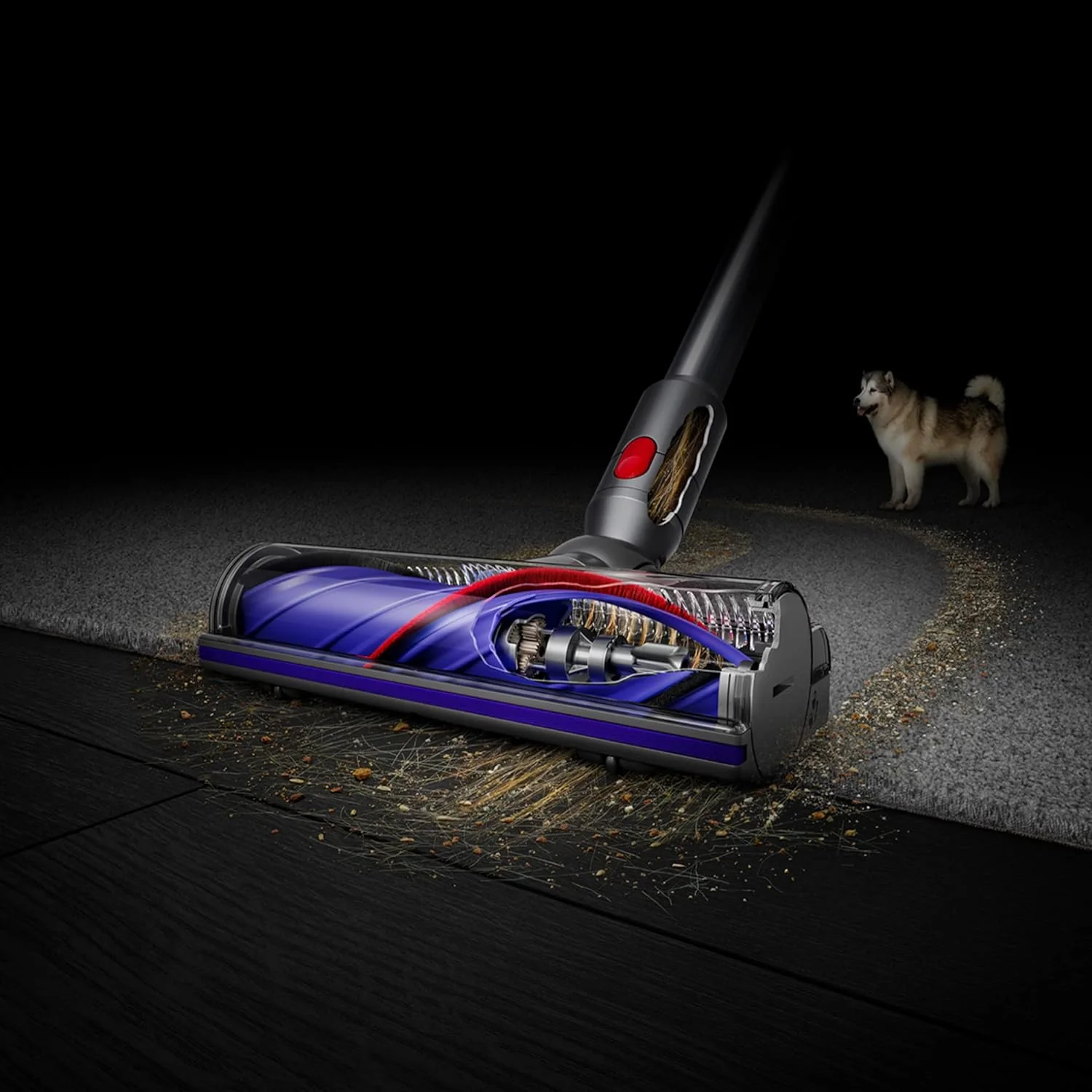Dyson Cordless Stick Vacuum Cleaner, 0.14 Gallons, Silver/Nickel - V8 SV25 - Image 13