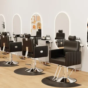 Baasha Reclining Salon Chair With Heavy Duty Hydraulic Pump