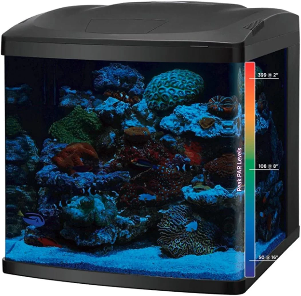 BIOCUBE 32 Gallon Glass Aquarium Tank And Stand Kit - LED - Image 4