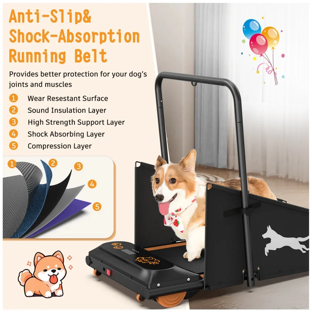 Dog Treadmill For Small And Medium Dogs - W215P235106 - Image 6