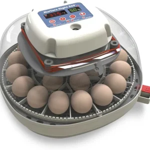 Nurture Right Egg Incubator For Hatching Chicks, Holds 12-22 Eggs - Automatic Turner