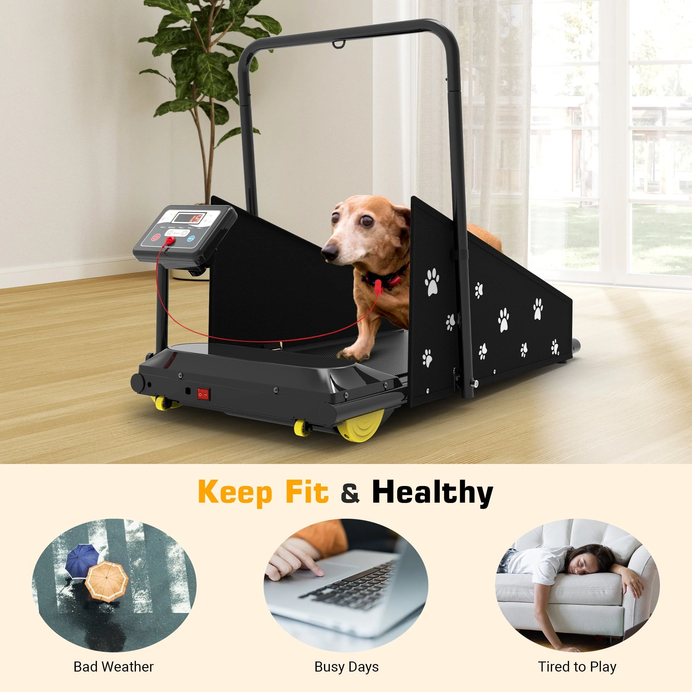 Hapycity Dog Treadmill 265LB Capacity With LCD Display And Remote - Image 7