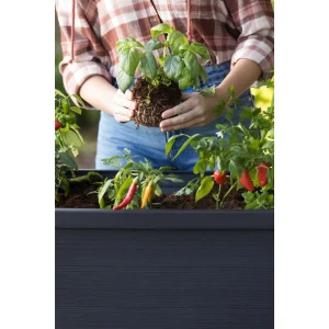 Keter Urban Bloomer Resin Elevated Planter Raised Garden Bed - 236157