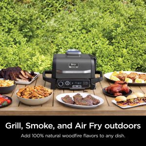 Ninja Woodfire Pro Outdoor Grill & Smoker With Built-In Thermometer - OG751BRN