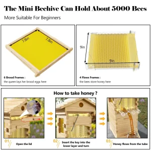 AUSHIVE Wax-Coated Cedarwood Beehive Kit With 4 Beehive Frames And 6 Brood Frames - Beige