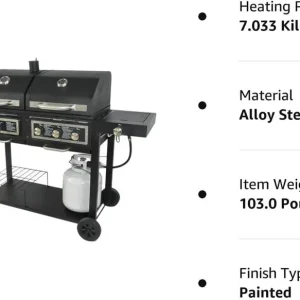 BLOSSOMZ Dual-Fuel Outdoor Grill, Charcoal & Gas - BLZ-39980