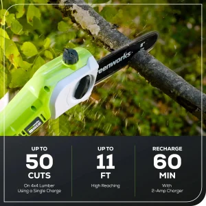 Greenworks 40V 20in Pole Saw With Hedge Trimmer Attachment, 2.0 Ah Battery And Charger