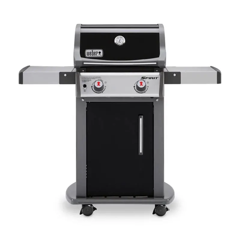 Weber Liquid Propane Grill, 2-Burner, Black - Spirit E-210