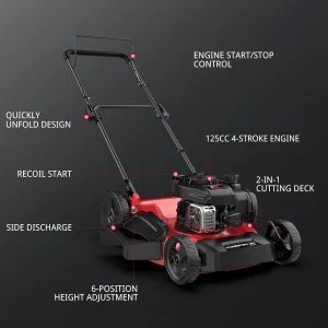 PowerSmart 21 in Gas Push Lawn Mower With 125cc Briggs And Stratton E300 Engine - 2-in-1