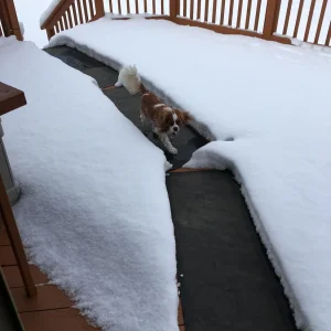 HeatTrak Heated Outdoor Snow Melting Mat - 20 x 60 in