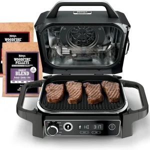 Ninja 7-in-1 Portable Electric Outdoor Grill And Smoker With Thermometer, Grey - OG751BRN