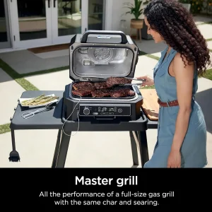 Ninja 7-in-1 Portable Electric Outdoor Grill And Smoker With Thermometer, Grey - OG751BRN