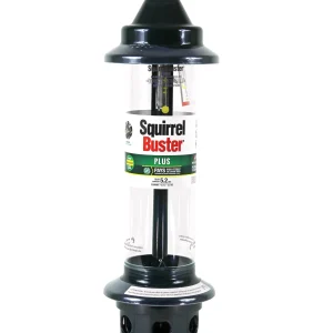 Brome Squirrel Buster Plus Tube Bird Feeder, 23 in, 3 Qt, 2 Pack - Cardinal Perch Ring
