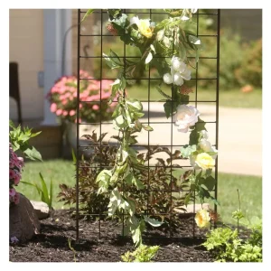 American Garden Works Narrow Screen Trellis, Black 64.25"H - STNMB