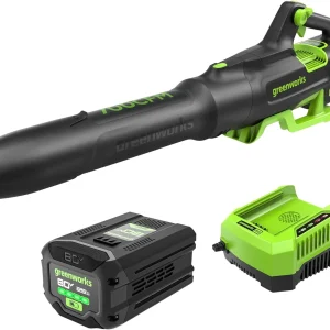 Greenworks 80V Brushless Cordless Leaf Blower, 700 CFM / 170 MPH, 2.5Ah Battery And 40-Min Rapid Charger